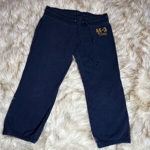 American Eagle Outfitters Dark Blue Joggers